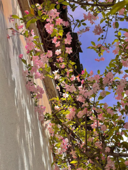 每日一善 点滴坚持终成星光，以专注深耕热爱，以执着奔赴目标，以热忱不负时光，让努