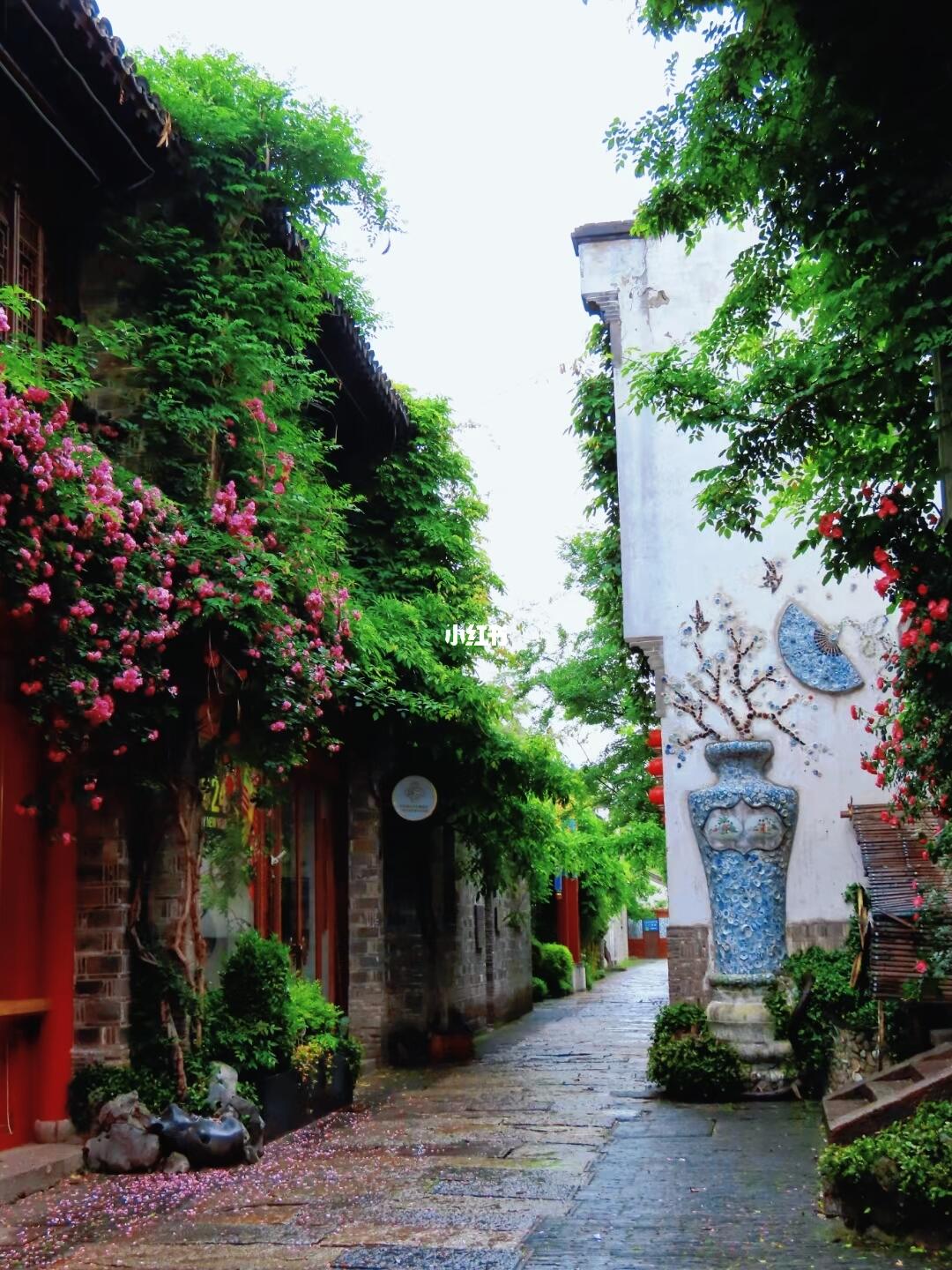 4月来南京，看过这6个地方的蔷薇再离开