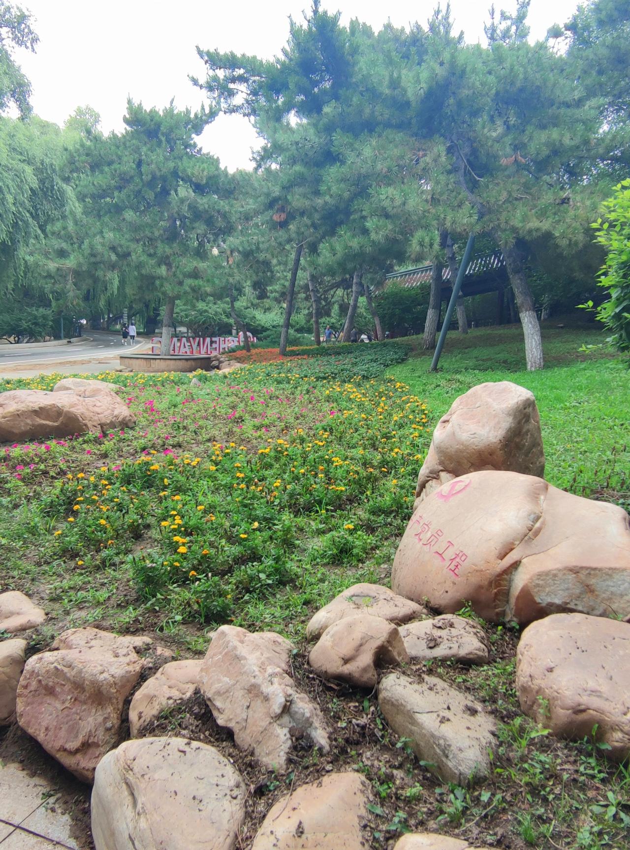 夏日风光无限美好，为人们的生活增添了不少乐趣，也留下了许多令人难忘的美丽画面。