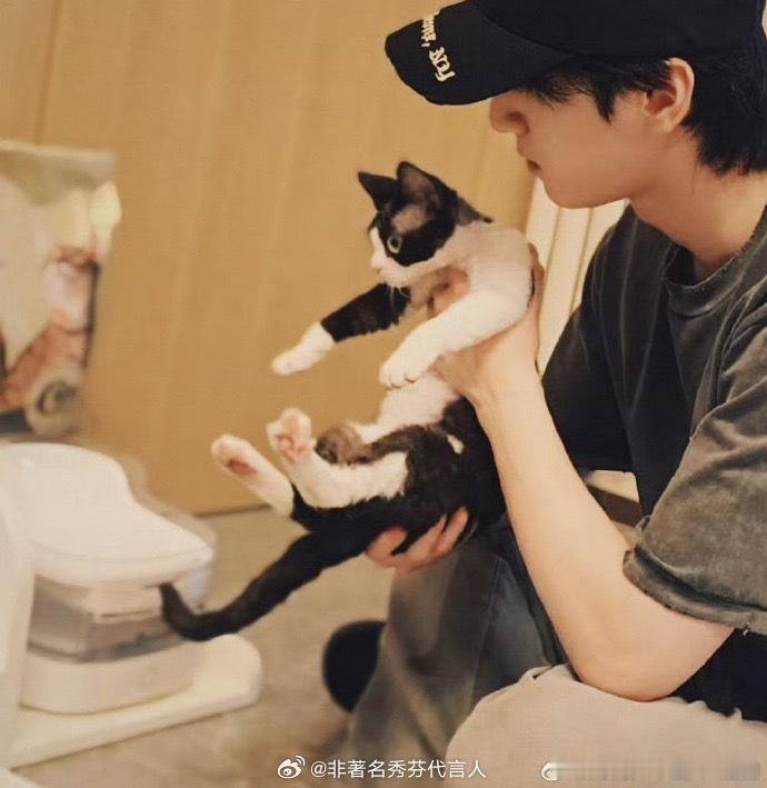 严浩翔养猫两只德文，三只萌物[哇] ​​​