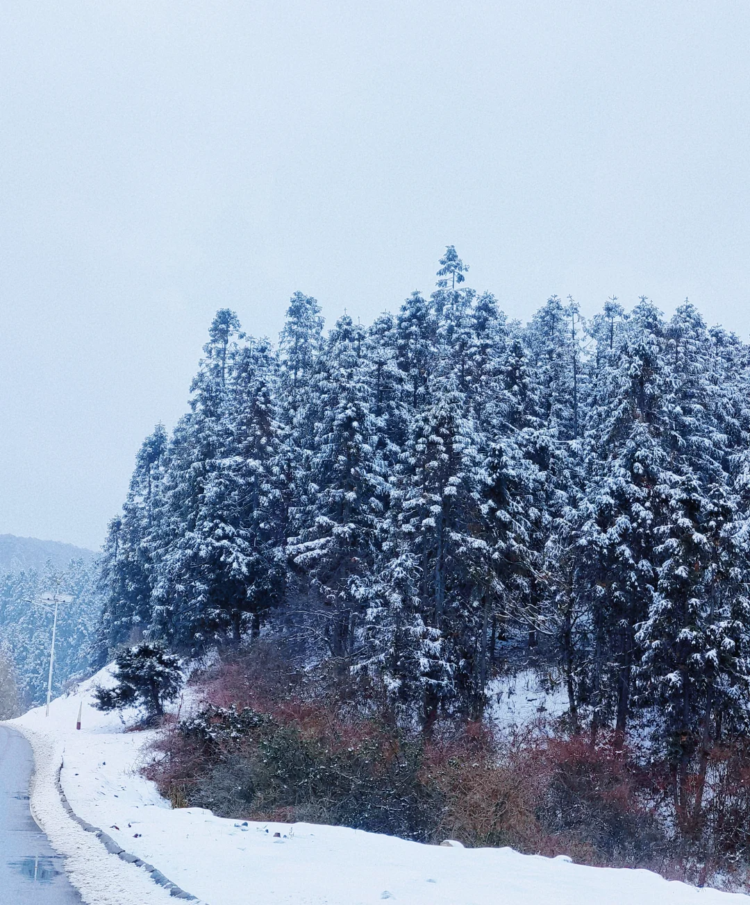 南方雪景