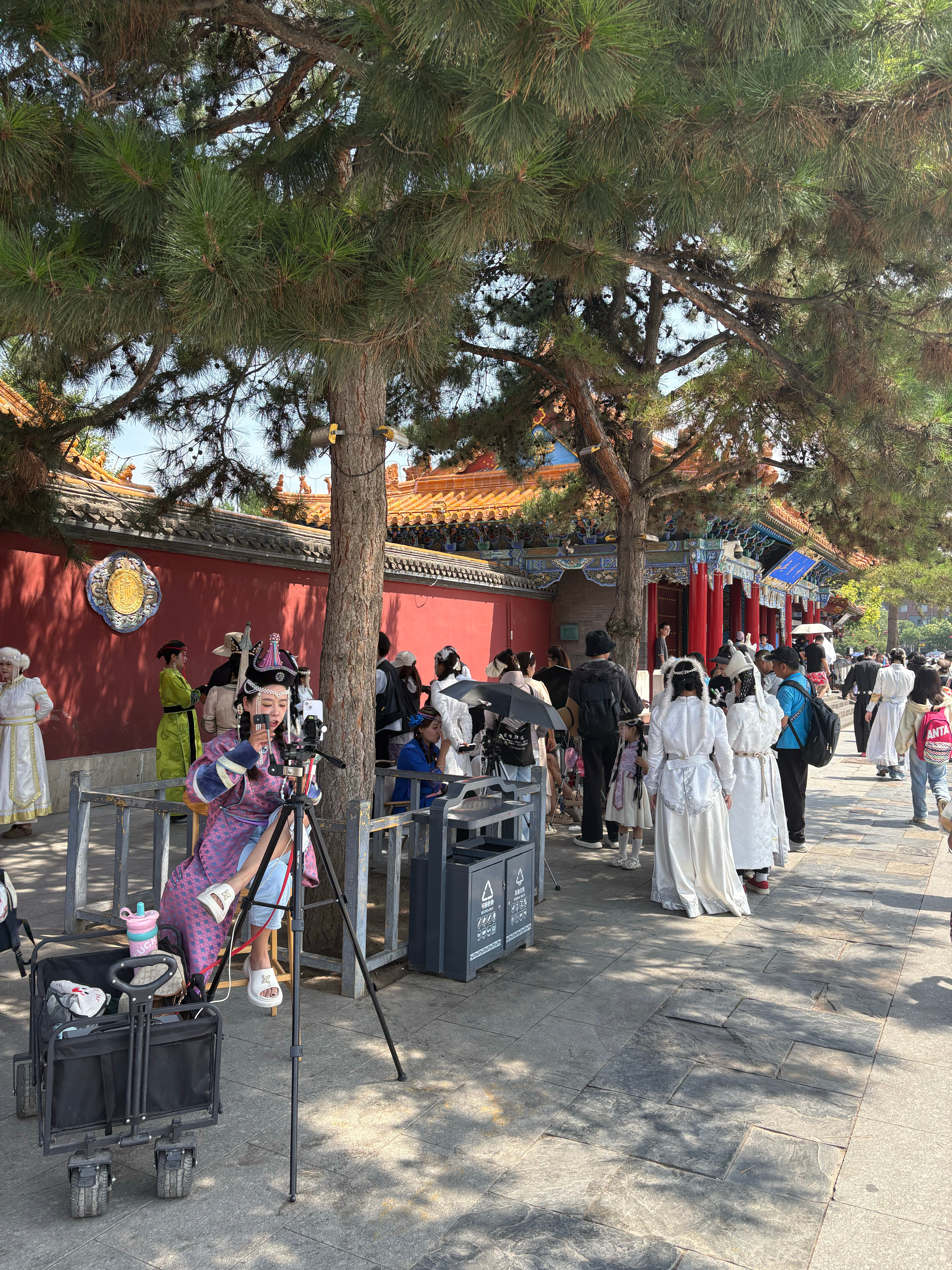 旅拍支撑起了消费半壁江山