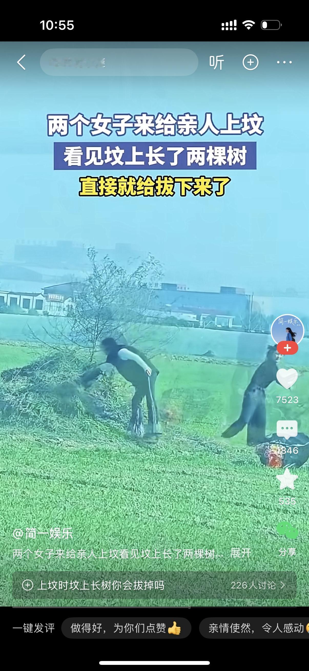 两个女人来给亲人上坟，看见坟墓上长了两棵树。俩傻女使出浑身解数去拔树，一个在那拔