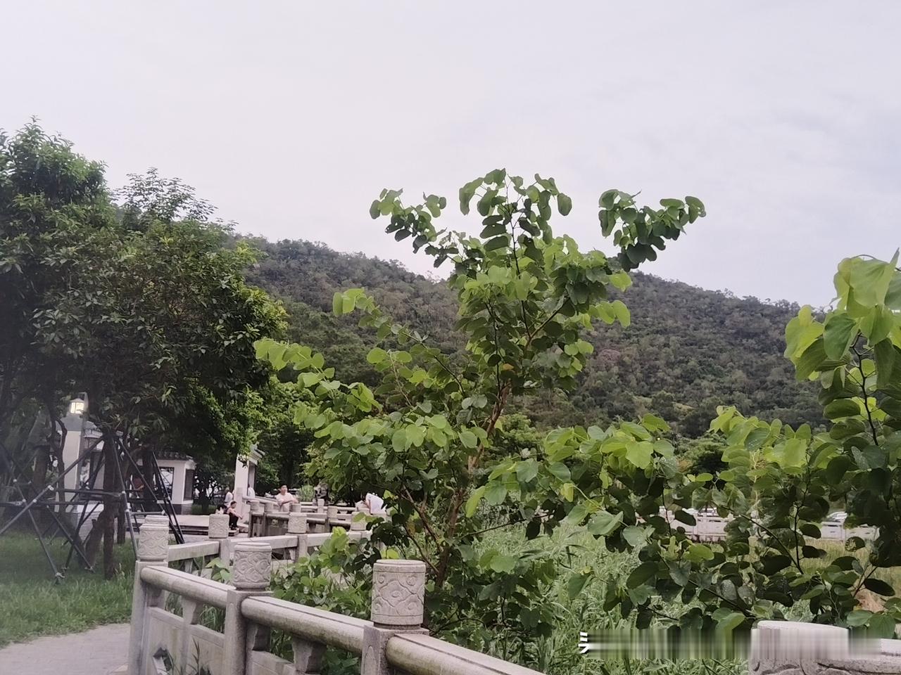 这已经是我坚持晨跑的第七十天了。之前两年的体检报告上，总有几项指标亮着红灯——血