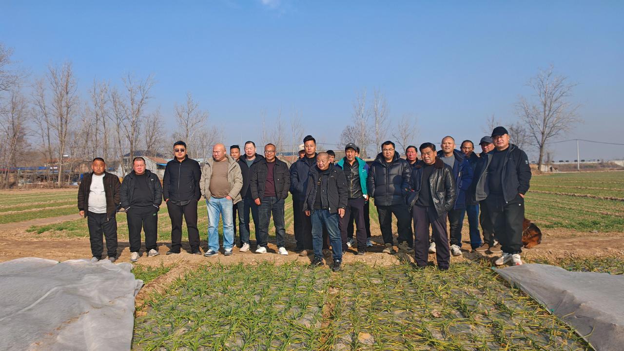 四海之内皆兄弟，山河四省齐相聚，大蒜地里叙情谊