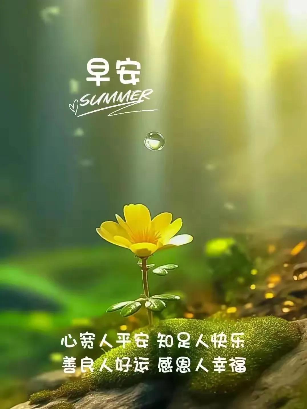 小时候，你有什么爱好呢？
#也谈谈人生趣味#

   小时候，婴孩时段，给人的印