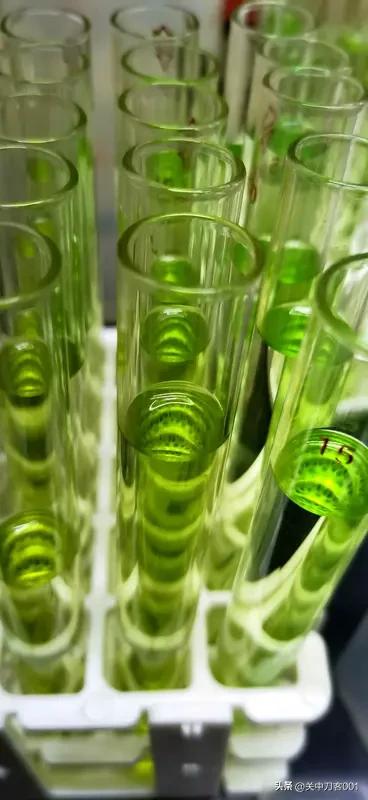 十五五超 20万亿解释，下一步经济风口在那
第一类，就是用于强化这个能源安全保障