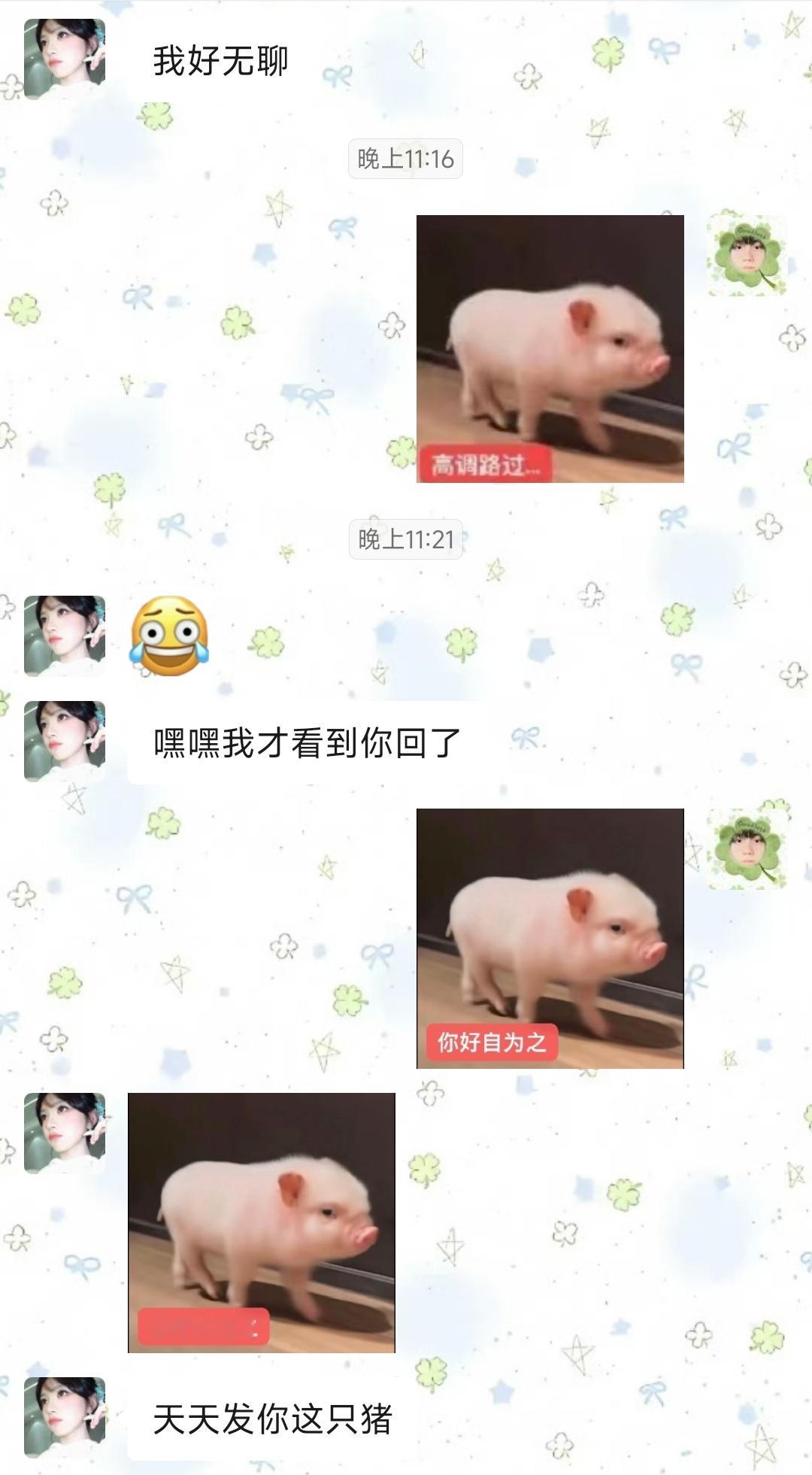 小猪。很好。 