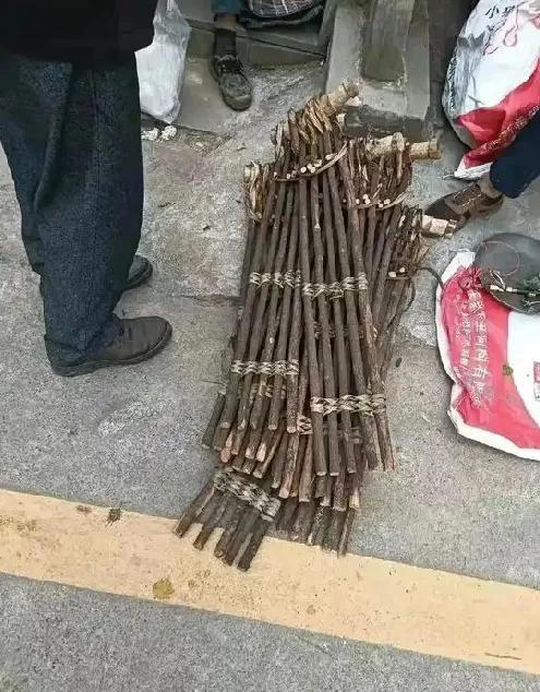 你以为老屋里的破烂没人要？扔了都嫌占地儿。
结果呢，有个愣头青真把那些积灰的搪瓷