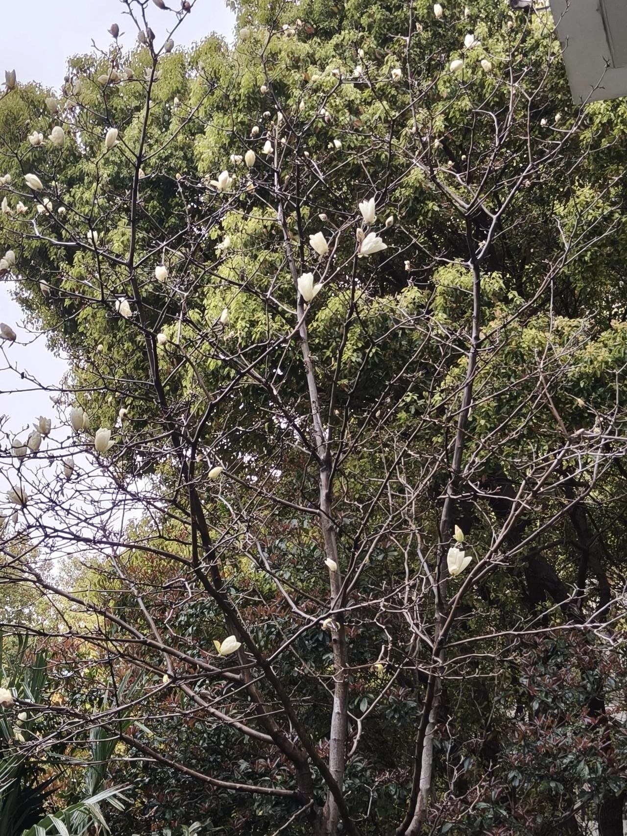 下班了下班了!
下雨了下雨了!
🌧️🌧️🌧️🌧️🌧️🌧️
🌧️🌧