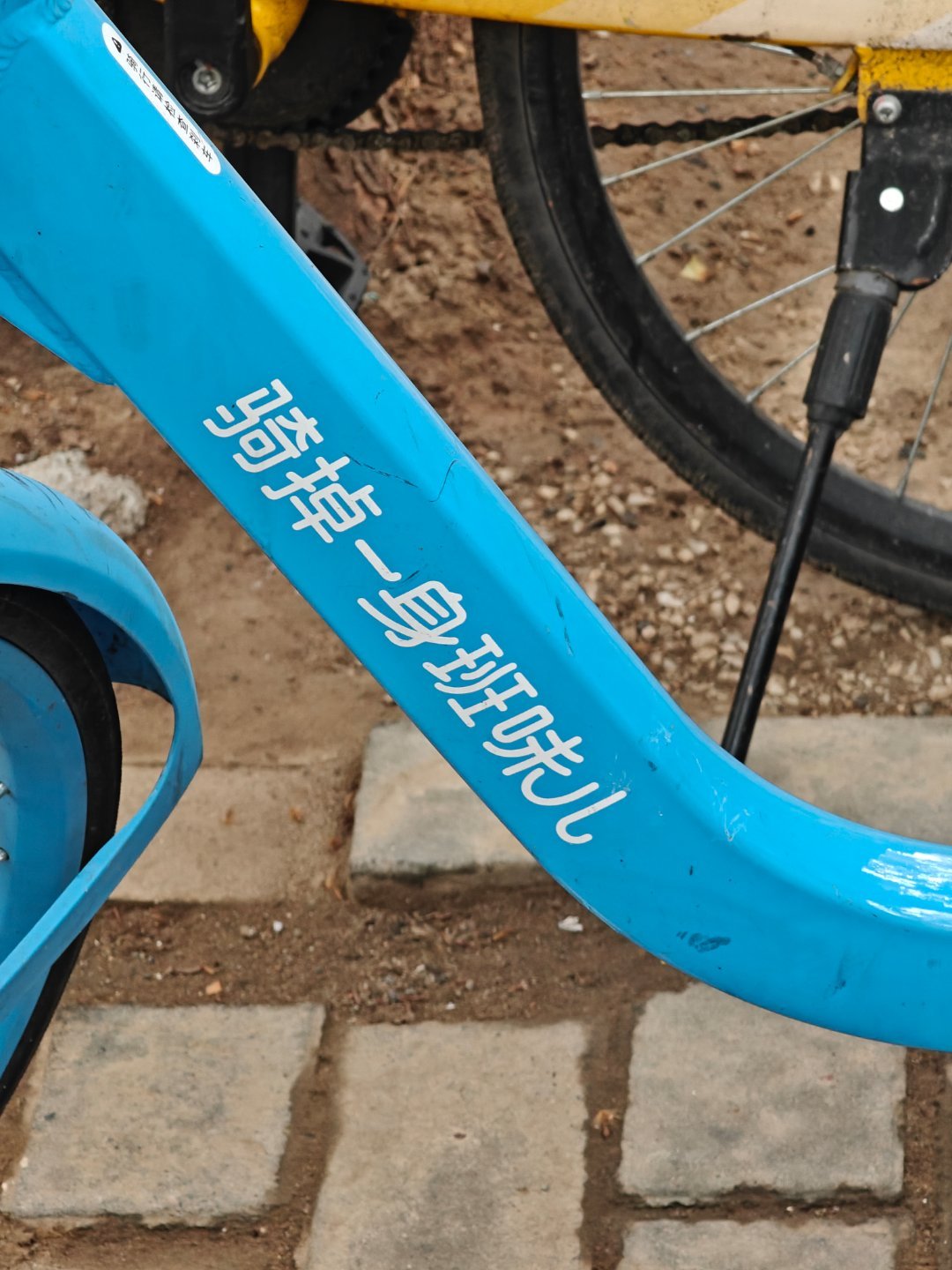 How？我如果不是为了上班我天天骑你？ ​​​