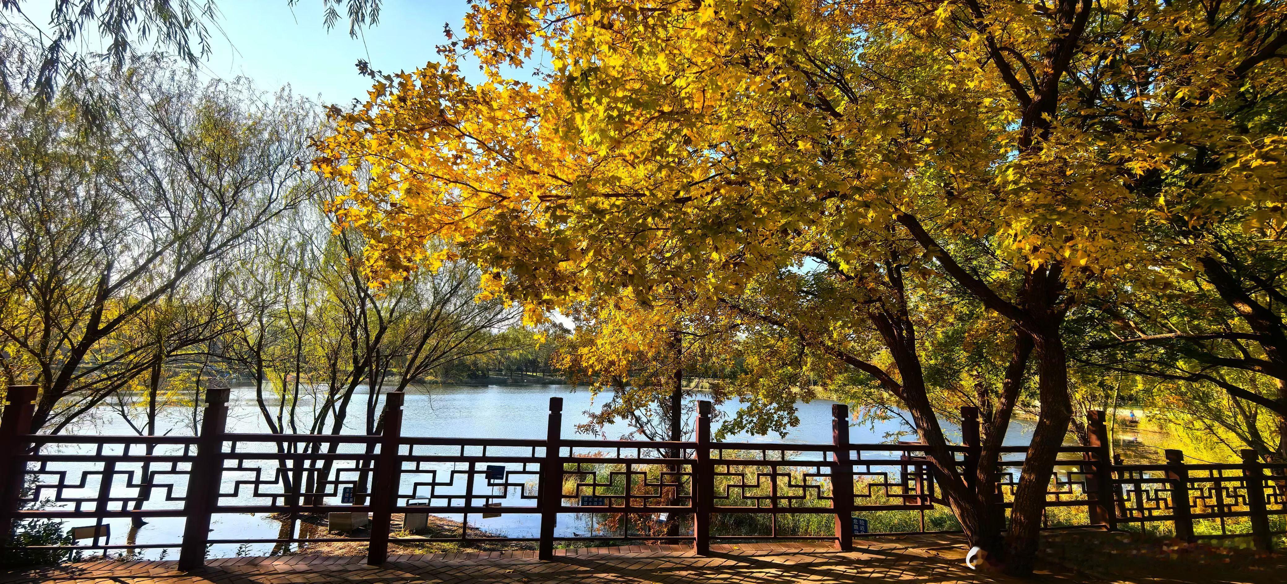 生活手记爱情从不是口头的甜言蜜语，而是落到实处的点滴行动。嘴上承诺万般呵护，遇事