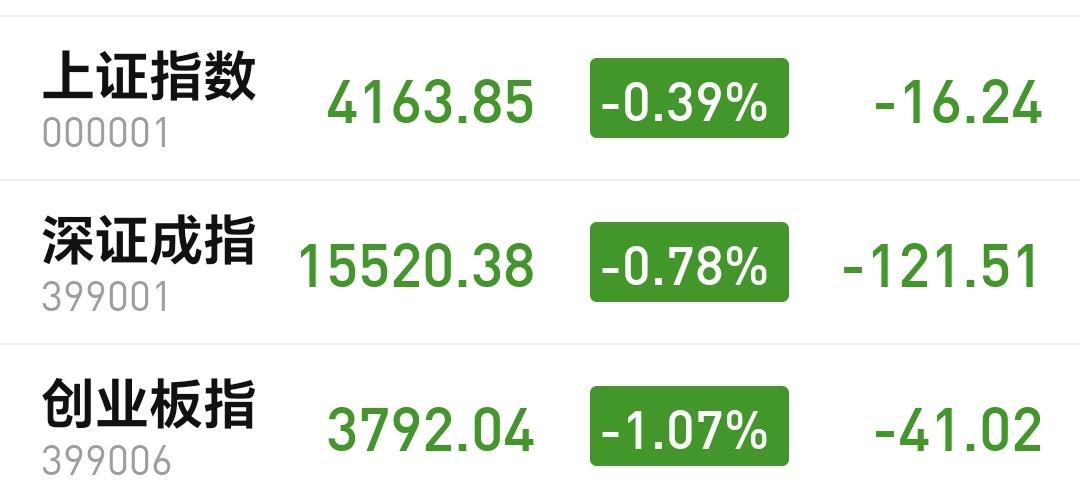 基金：满仓持有科技类板块的人，需要保持着一份谨慎
今天市场低开，三大指数都是低开