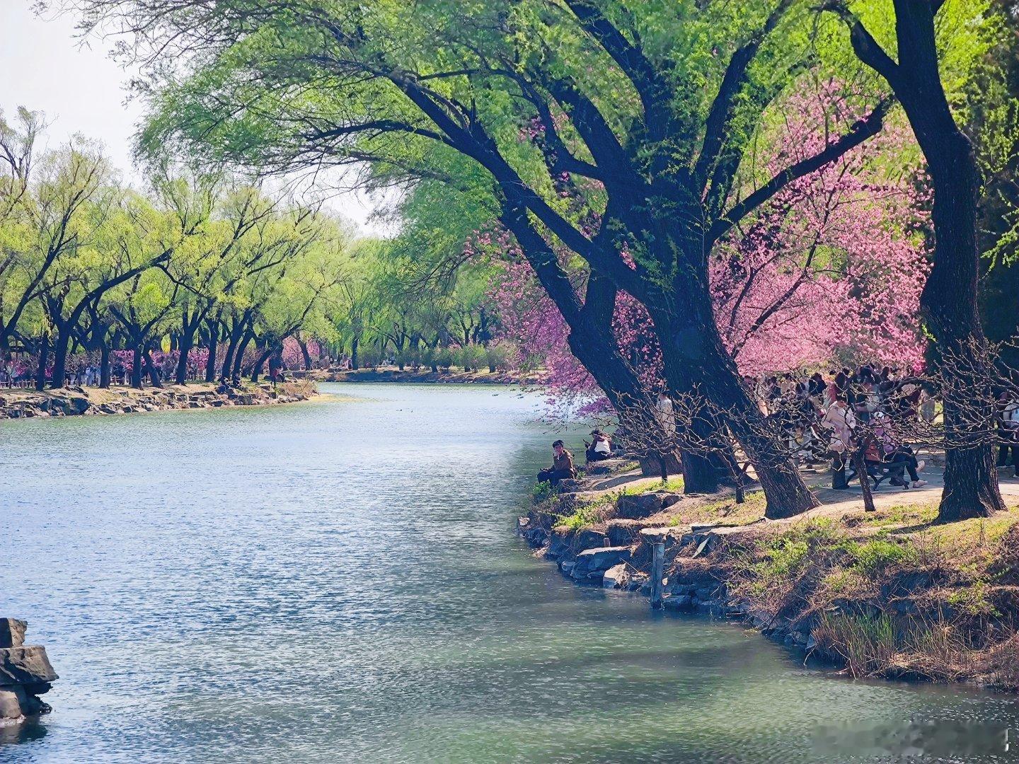  最美人间四月天，颐和园大美春色摄影北京春日氛围感