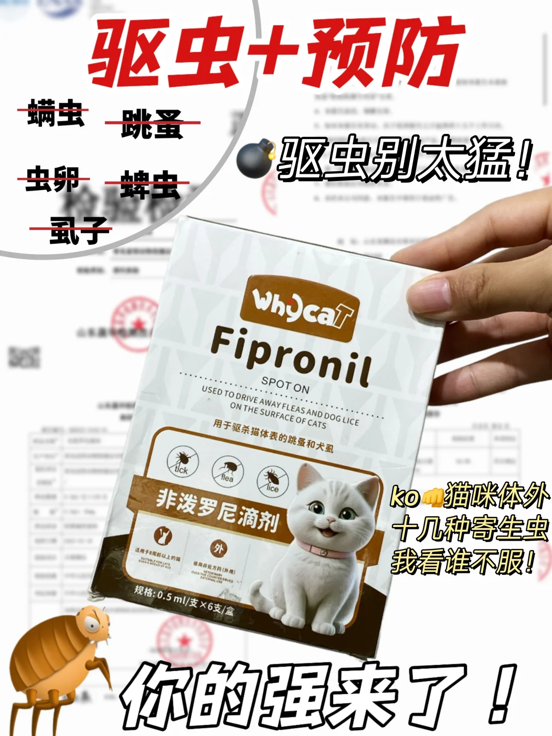 跳蚤蜱虫别嚣张！你的强来了💪