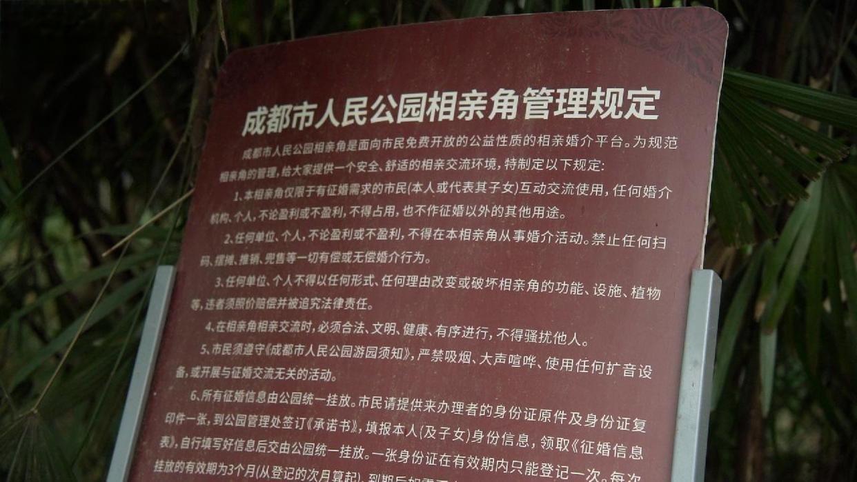 成都人民公园相亲角，外国游客比本地大爷大妈还多！这热闹你敢信？

老外举着手机，