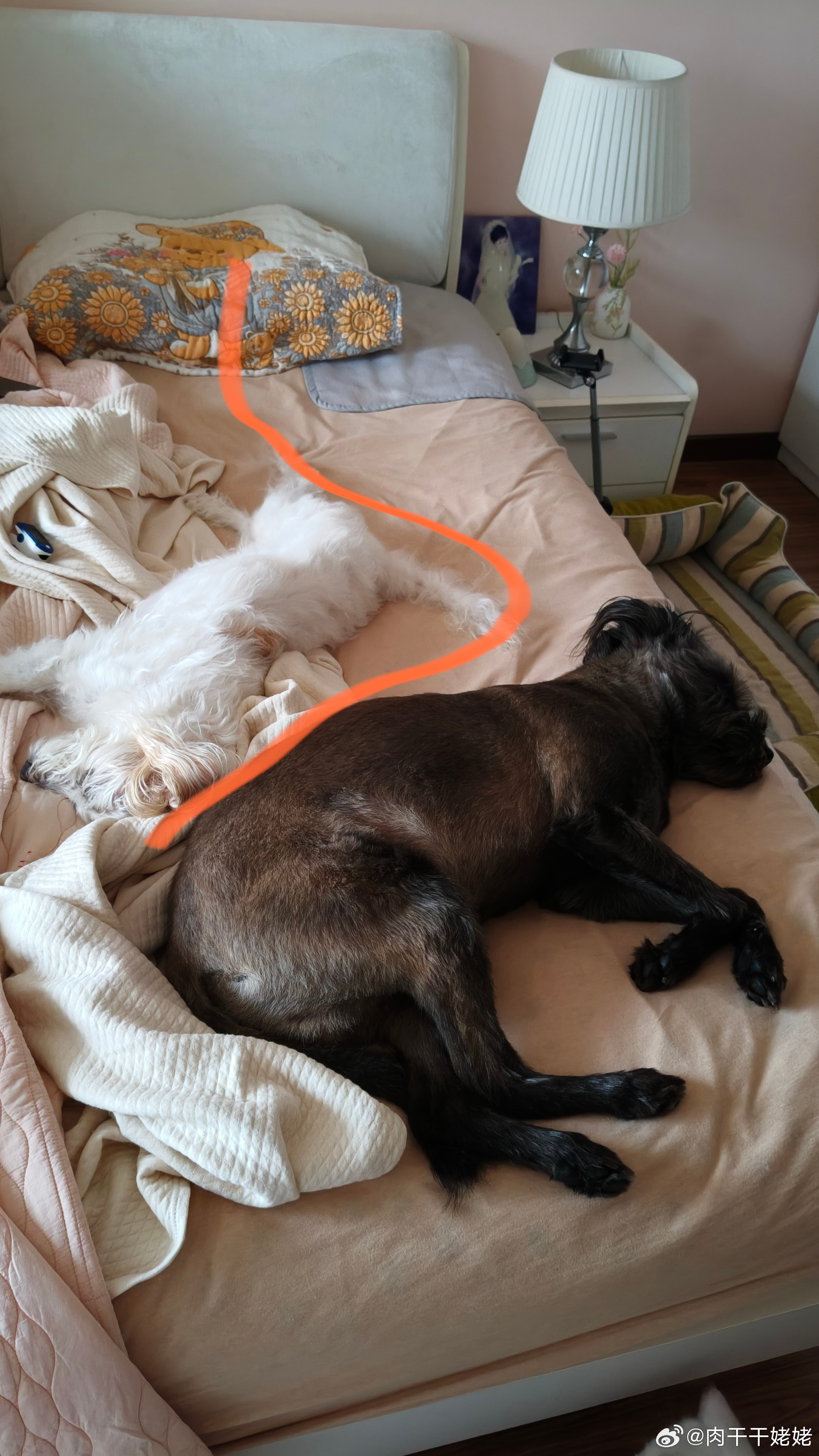 幸亏我是属蛇的