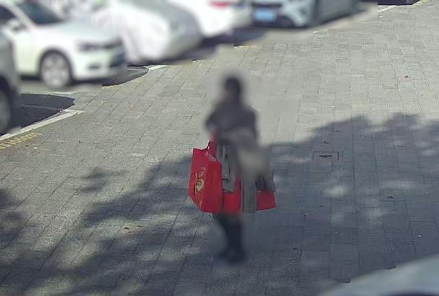 浙江温州街头上演惊心追击战！黑色无牌轿车藏匿300万现金，警方闪电拦截揭穿“虚拟