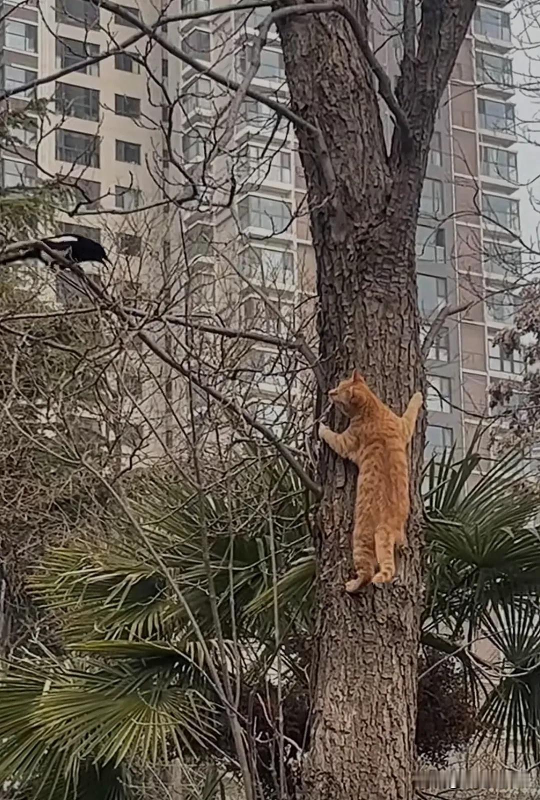 心中有净土，诚邀下联 梦里起波澜