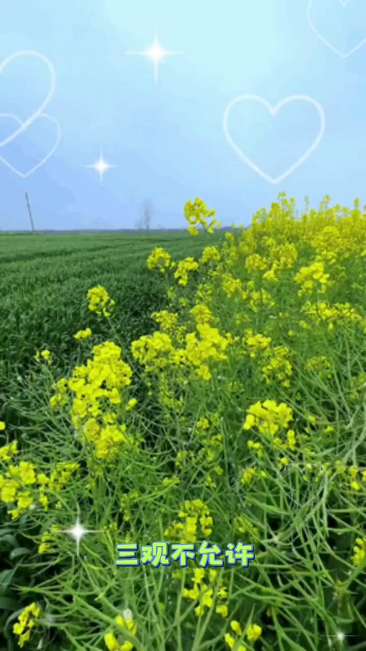 一个70后的女人告诉我。
情窦再开的时候父母不同意，老公不同意，子女不同意，五官