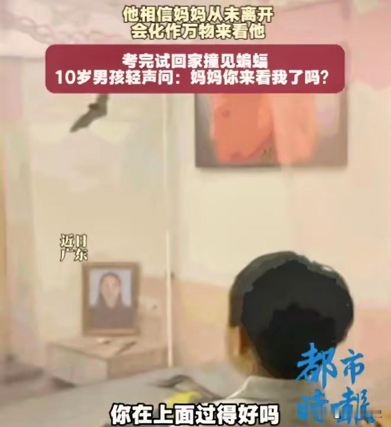 泪目！广东，一男孩的母亲已因病去世两年。考完试回家的他，偶然发现蚊帐里飞进一只蝙