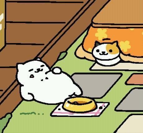 .：✦•。·.𝗠𝗲𝗼𝘄猫咪后院 *•✩·.• ​​​