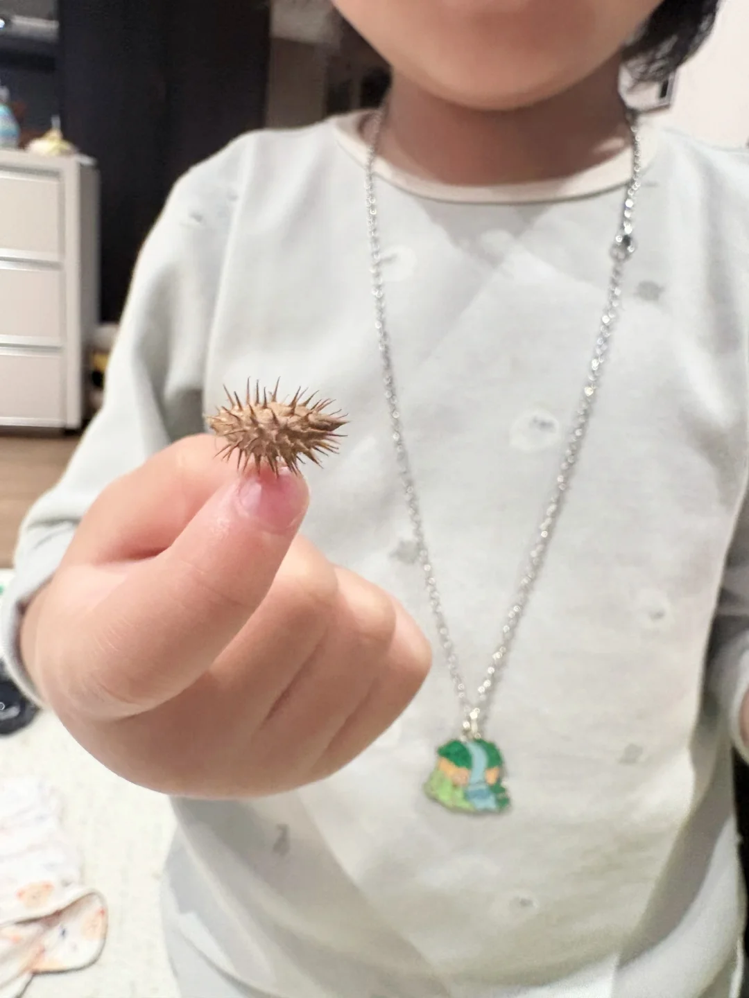 植物小世界，孩子的自然课堂！