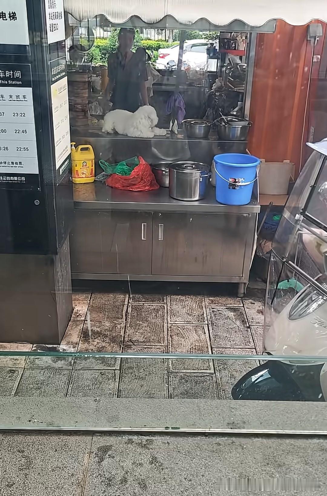 昆明的朋友，路过日新路（地铁站）的时候避雷这家便民早餐小吃店吧！狗进店，狗上桌都