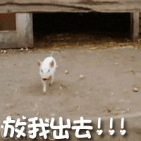 工资5000 情绪管理工作毕竟只是生活的一部分，还是要减少内耗，如果干得非常不愉