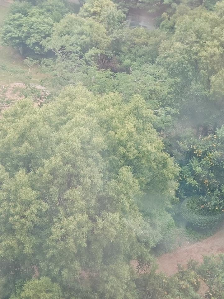 现在的天亮的真早，一觉醒来看着外面的天，还以为已经七点多，打开手机才五点多[捂脸
