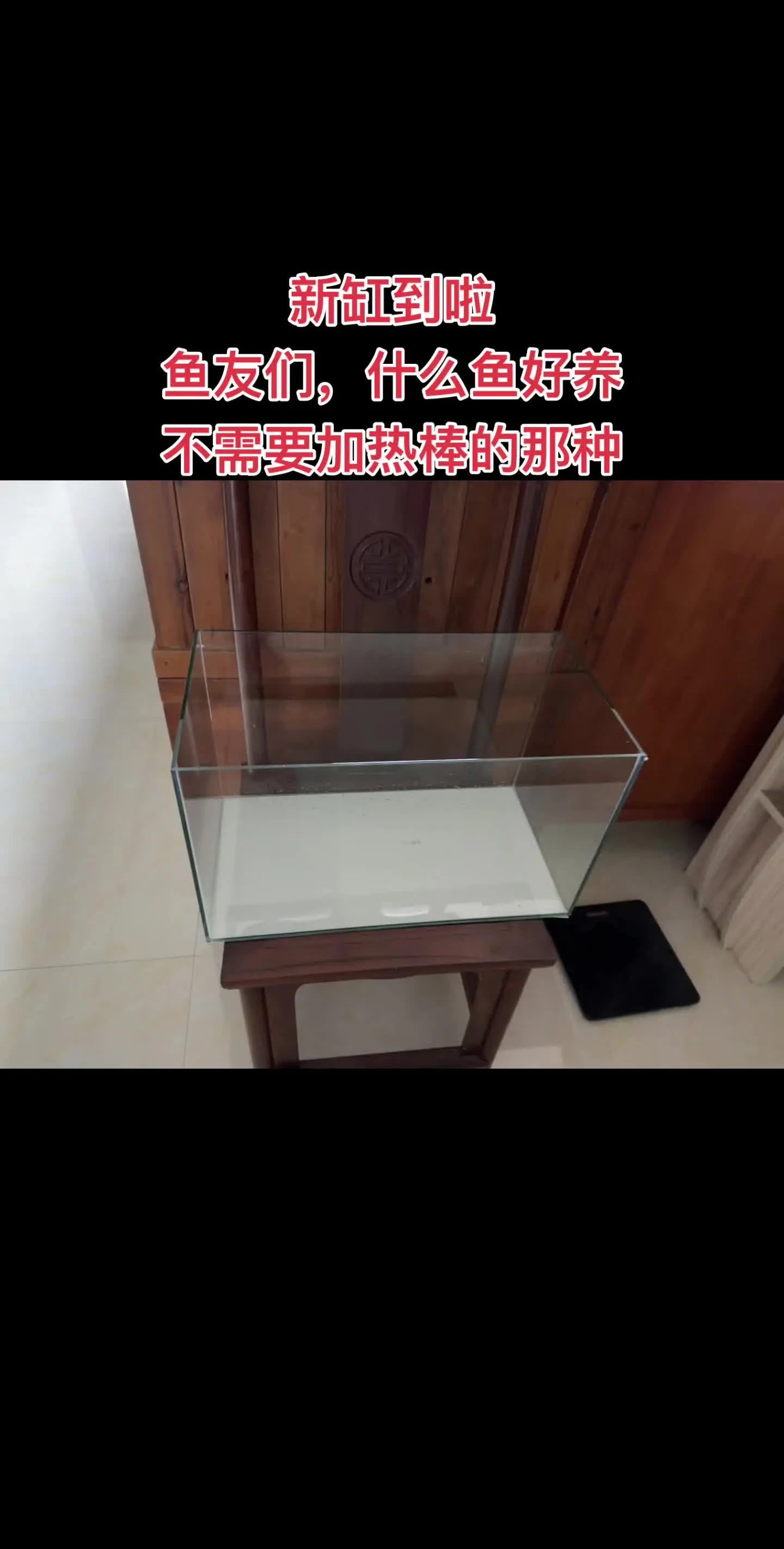 鱼友们，什么鱼好养可以不用加热棒，坐标湖北，纠结是现在养还是等夏天