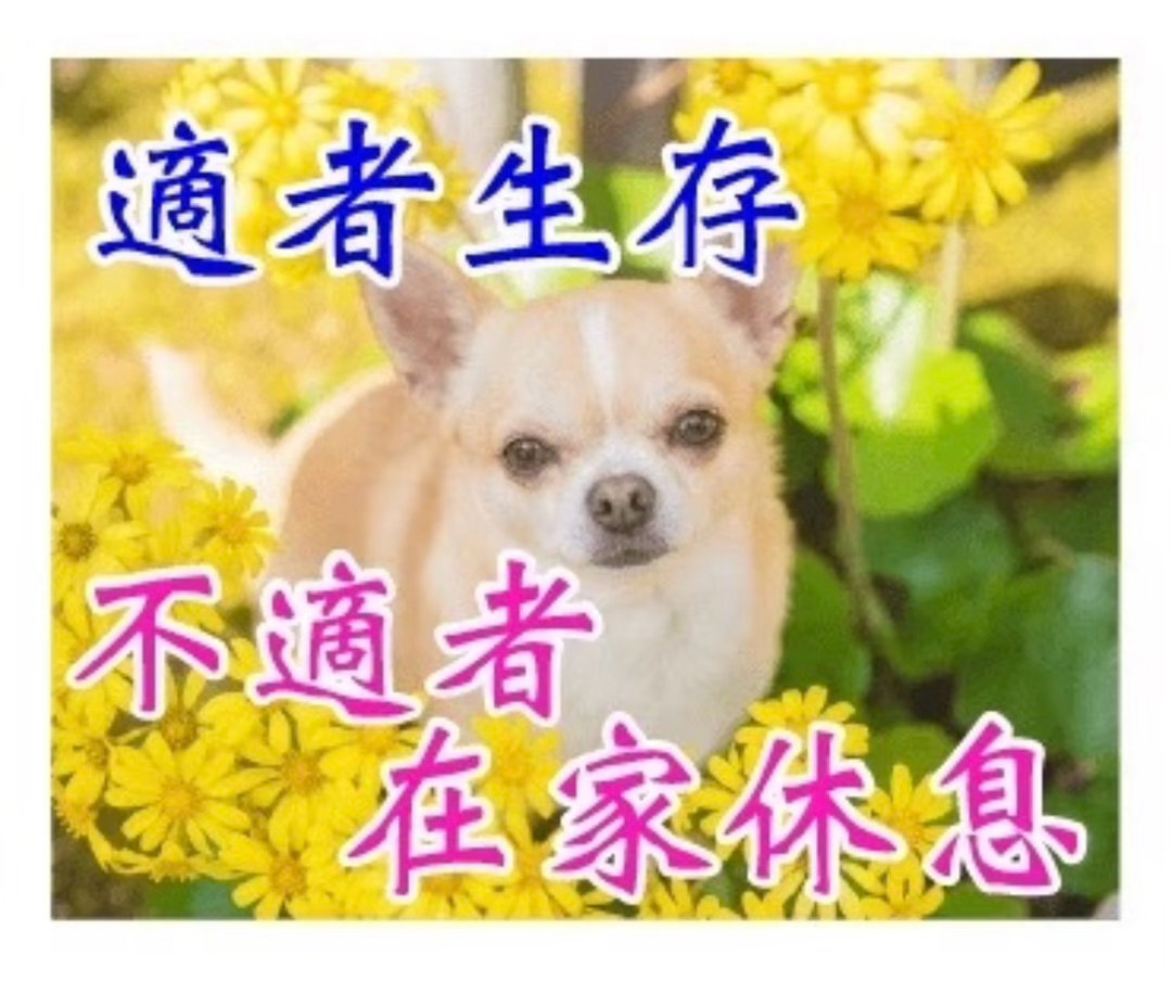 我他妈下班了来玩POME匿名提问箱，问你想问网页链接 网页链接