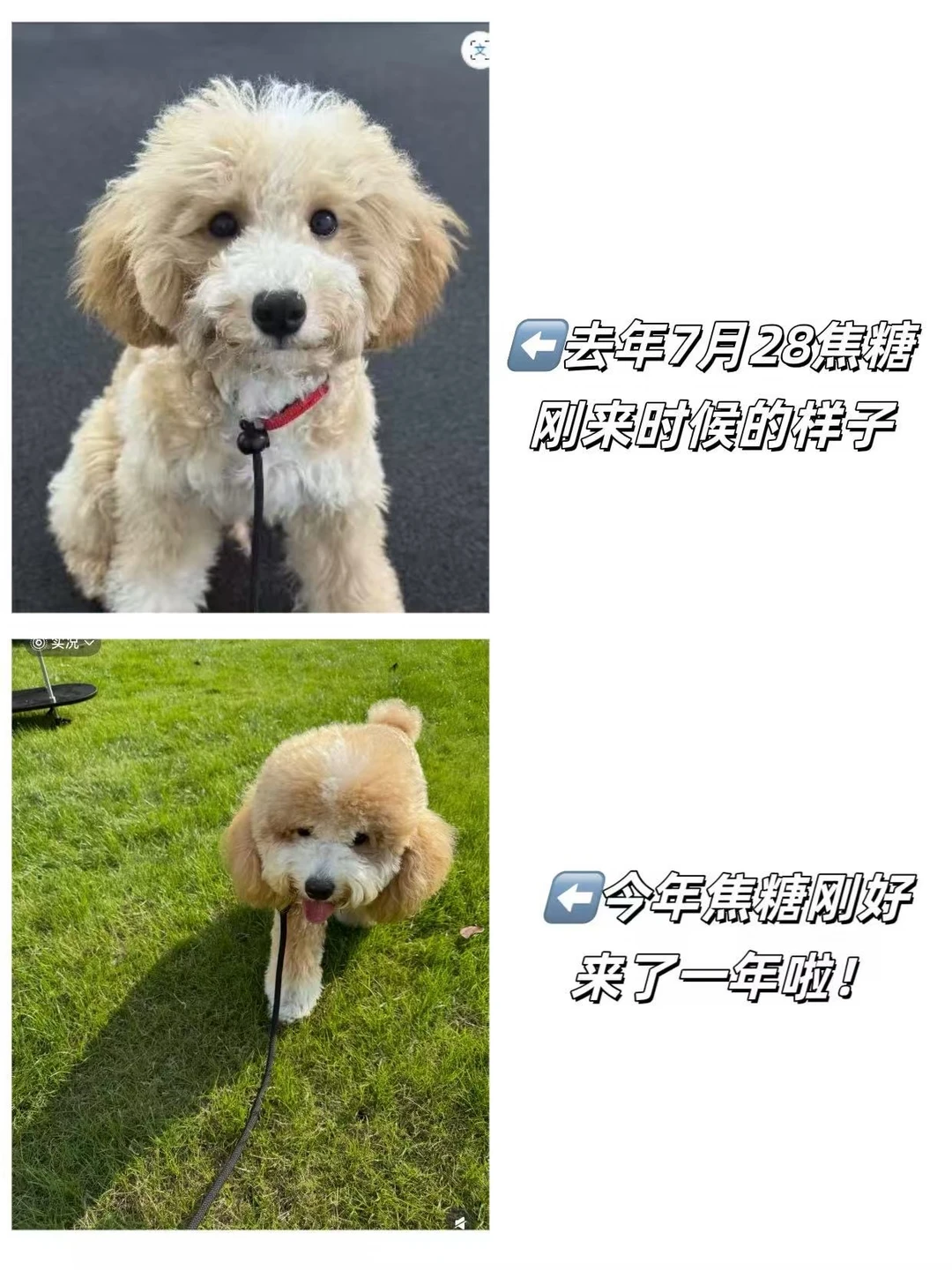 关注交个朋友这么久，竟然才发现这个秘密