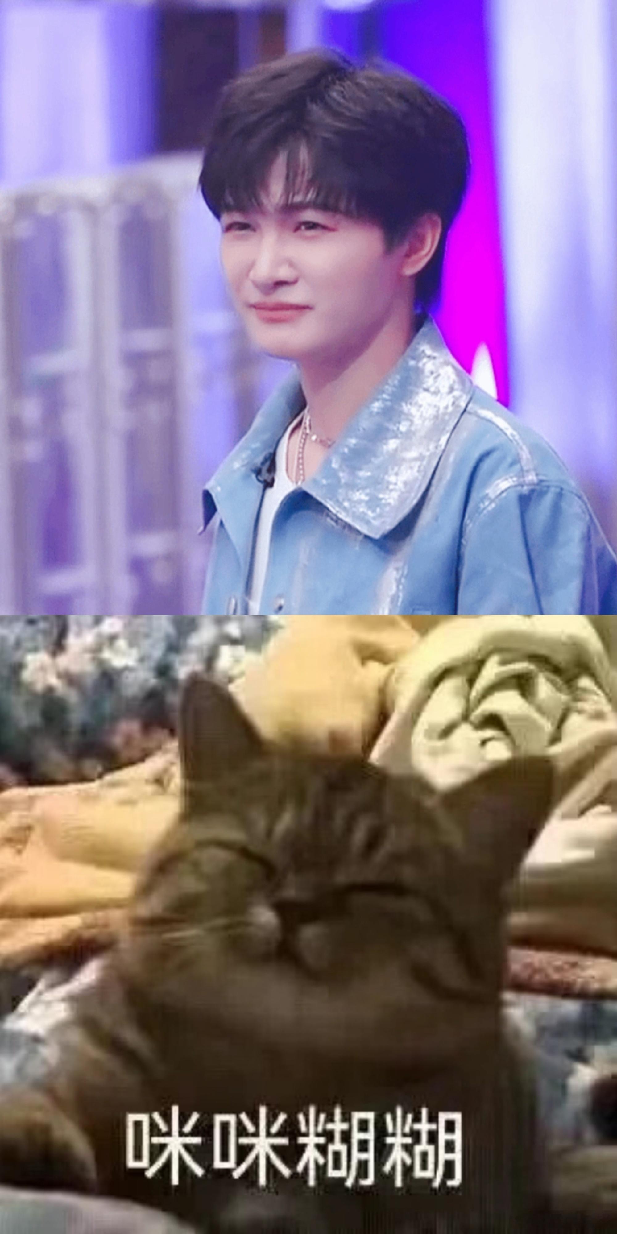 #周深演我上班迷迷糊糊# 周深你是一只小猫，白天咪咪糊糊，清醒了机灵又可爱！就问