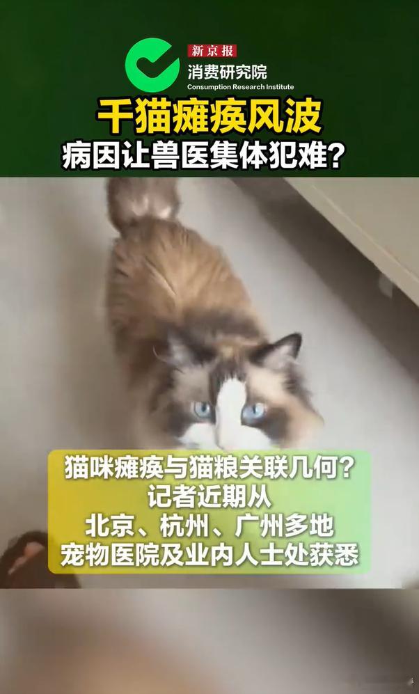 奉劝各位铲屎官不要一概而论！狗狗后腿疾病病因明确、容易医治，猫咪瘫痪却大多查无源