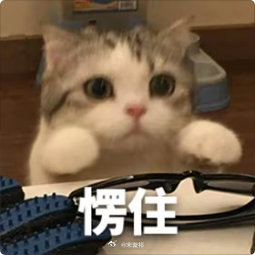 当有人问我,我不会时 ​​​