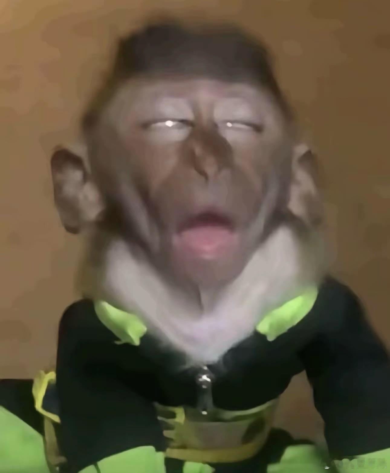 周一好啊！开完会直接进入战斗模式，完美的见证了一场不靠能力靠“演技”的，开完会也