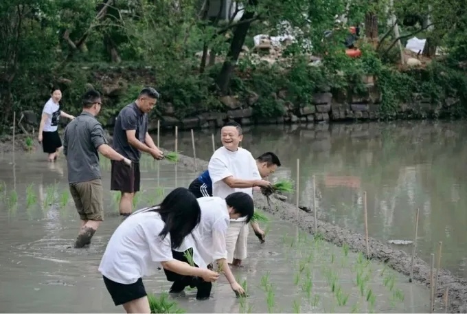 最近很火的Ai剧不是，开荒养出战神吗，马云是要上演真人版了，《重生之我在浙江改稻