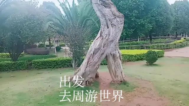 生命成宝贵，活着就是好。
天天新世界，任我去周游。
活着真的好，死去万事空。
活