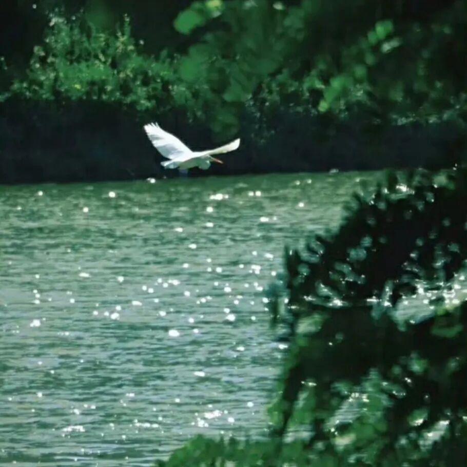 你来人间一趟，你要看看太阳。—— 海子《夏天的太阳》早安