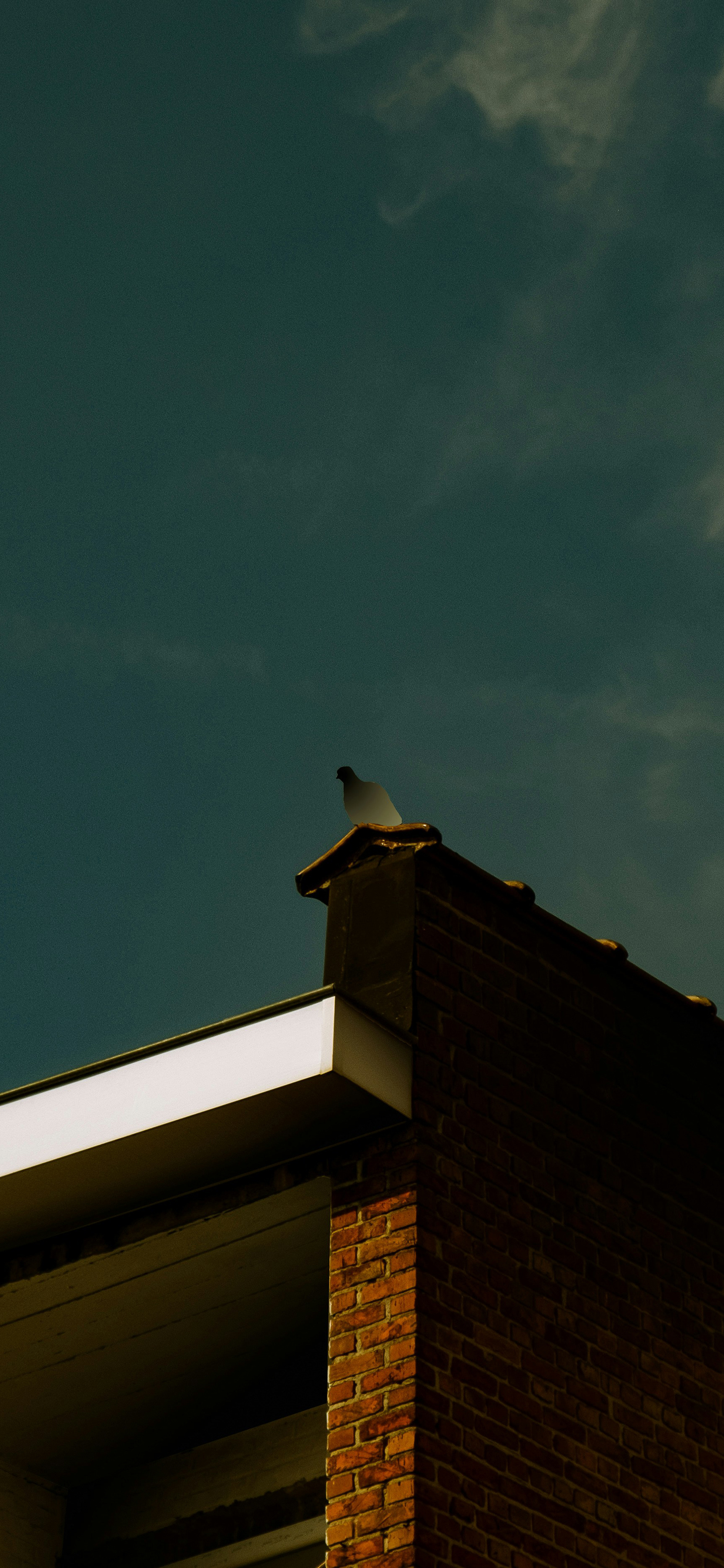 莱分享 今日 iPhone 壁纸分享 