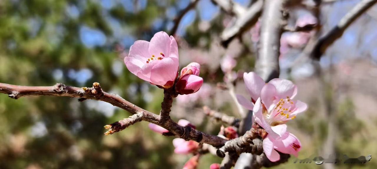 希望越大失望越大，我们真可笑，有时会把自己办不到的事情，寄托到别人身上，如果事与