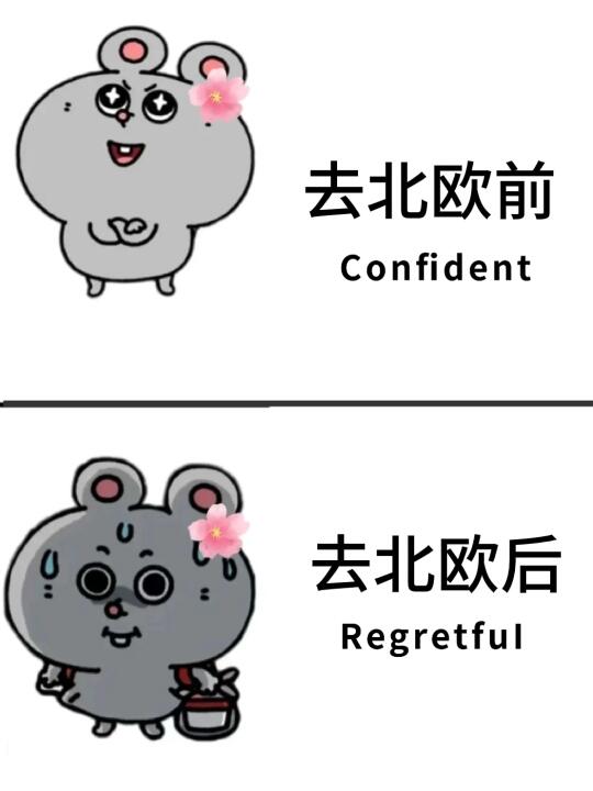 愿每一个去北欧的人都能刷到这篇❤️