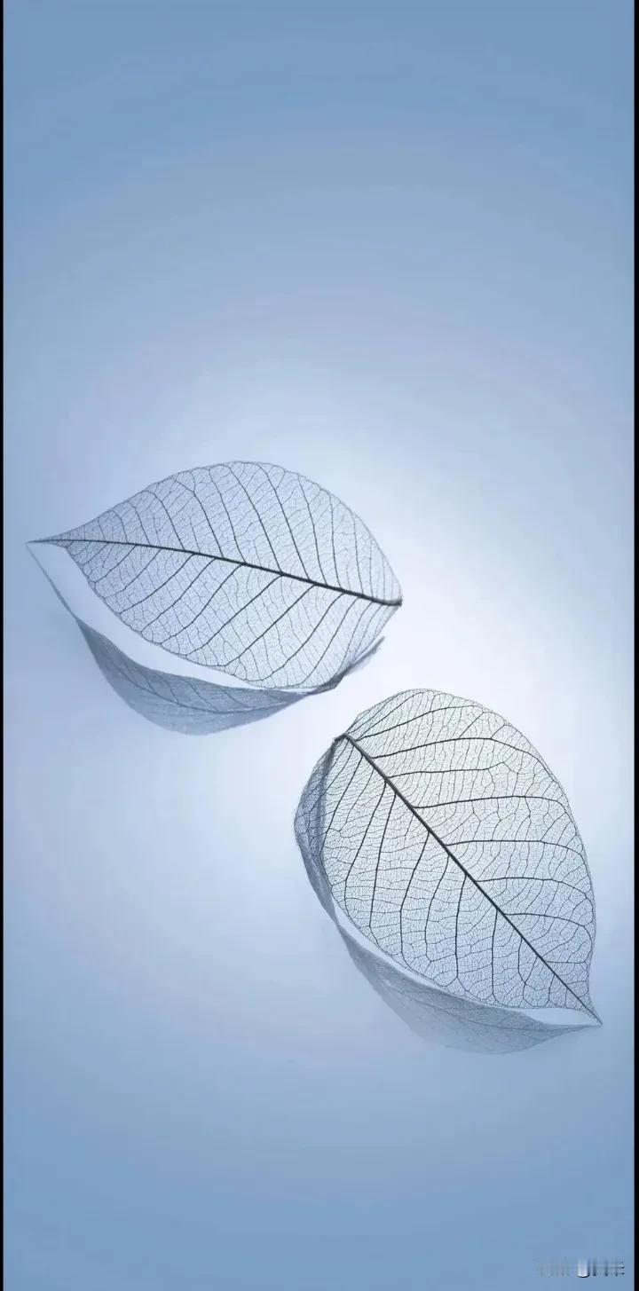 钱很多能够买来健康吗?钱再多也买不来真健康。能请最好的医生，买最贵的药，可熬夜酗