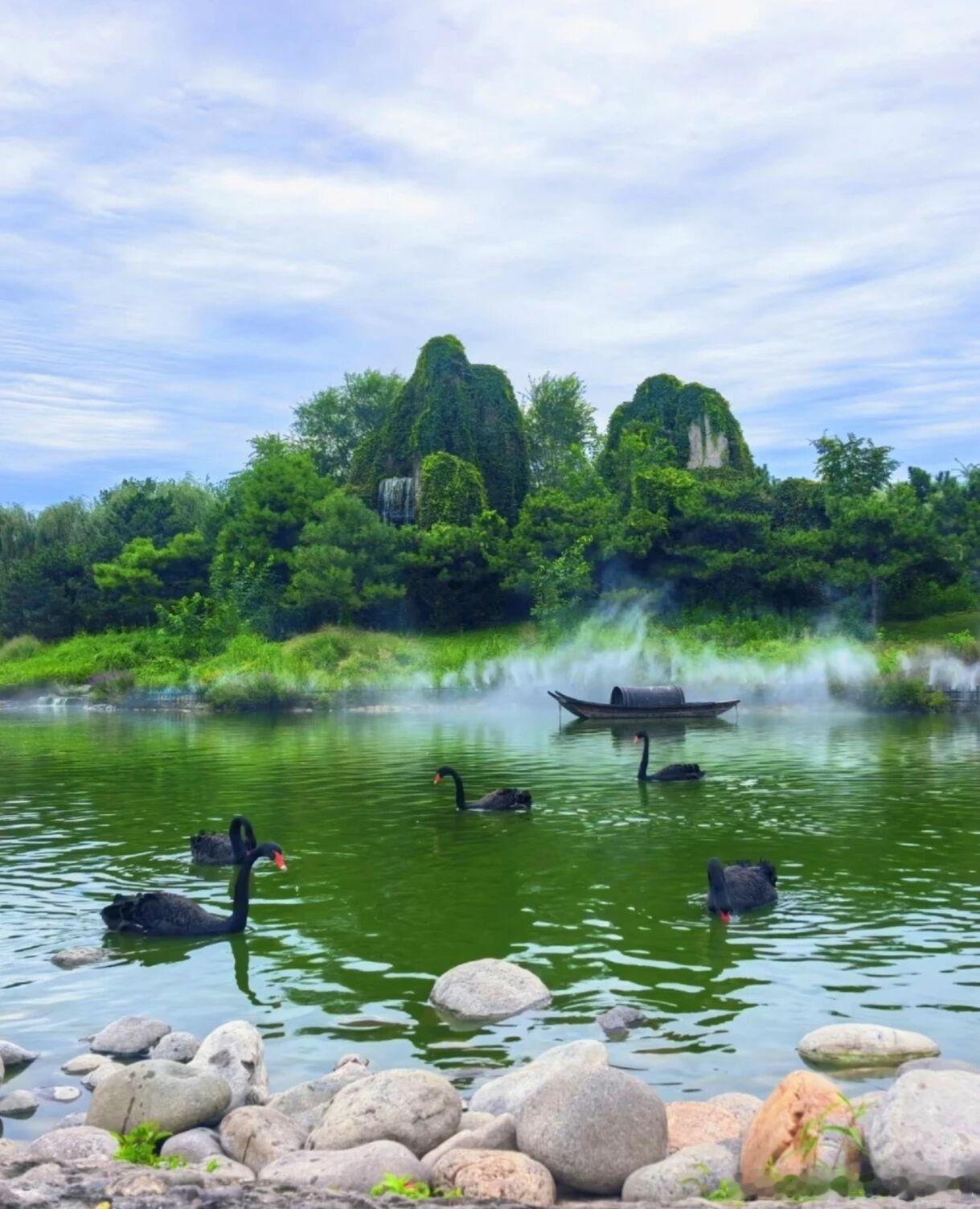 暑期遛娃首选北京野生动物园，整片万亩林地像油画小瑞士。湖泊草坪氛围感拉满，能看天