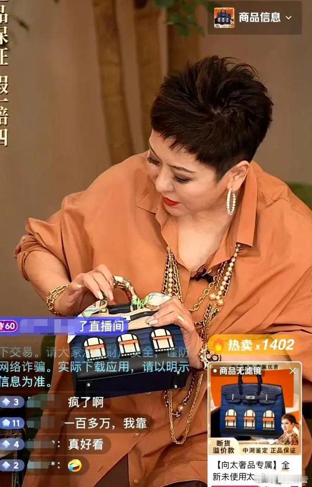 爱马仕蓝房子，120万/只，向太直播间卖掉了1400只？这太离谱了吧  爱马仕总