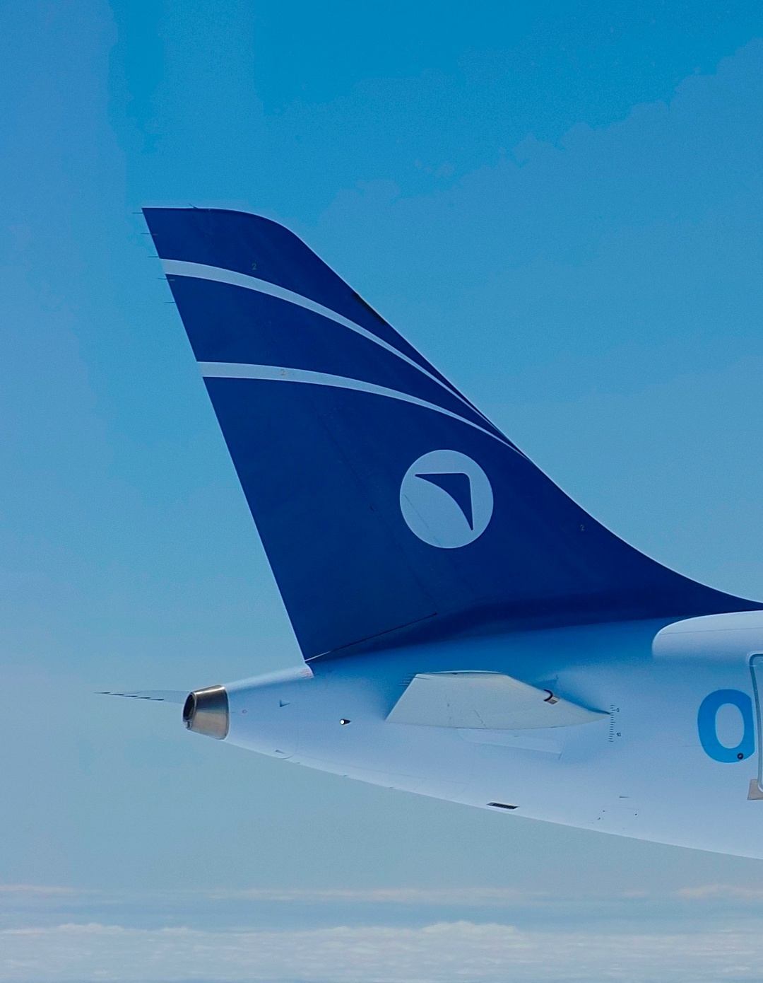 进口替代加速新技术发展 2026年4月14日，俄罗斯联合航空制造集团（UAC，隶