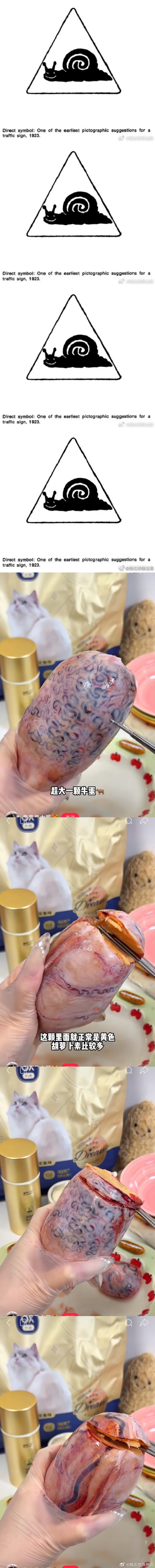 xhs刷到的一个宠物吃的牛蛋 san掉一地 ​​​