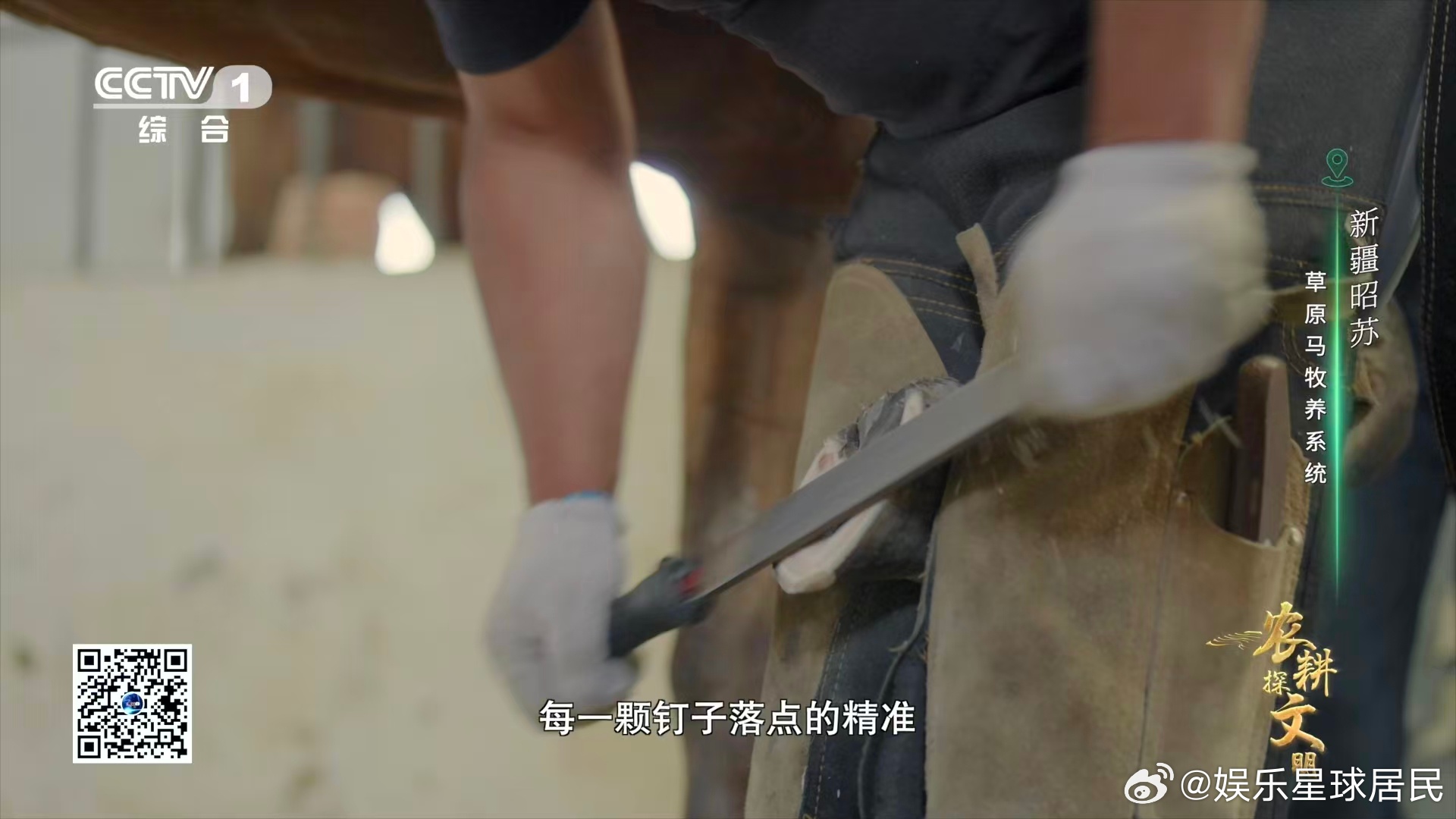 钉蹄师全靠经验吃饭！同一匹马的四只蹄子都有差异，修蹄、钉蹄铁没有统一标准。钉子必