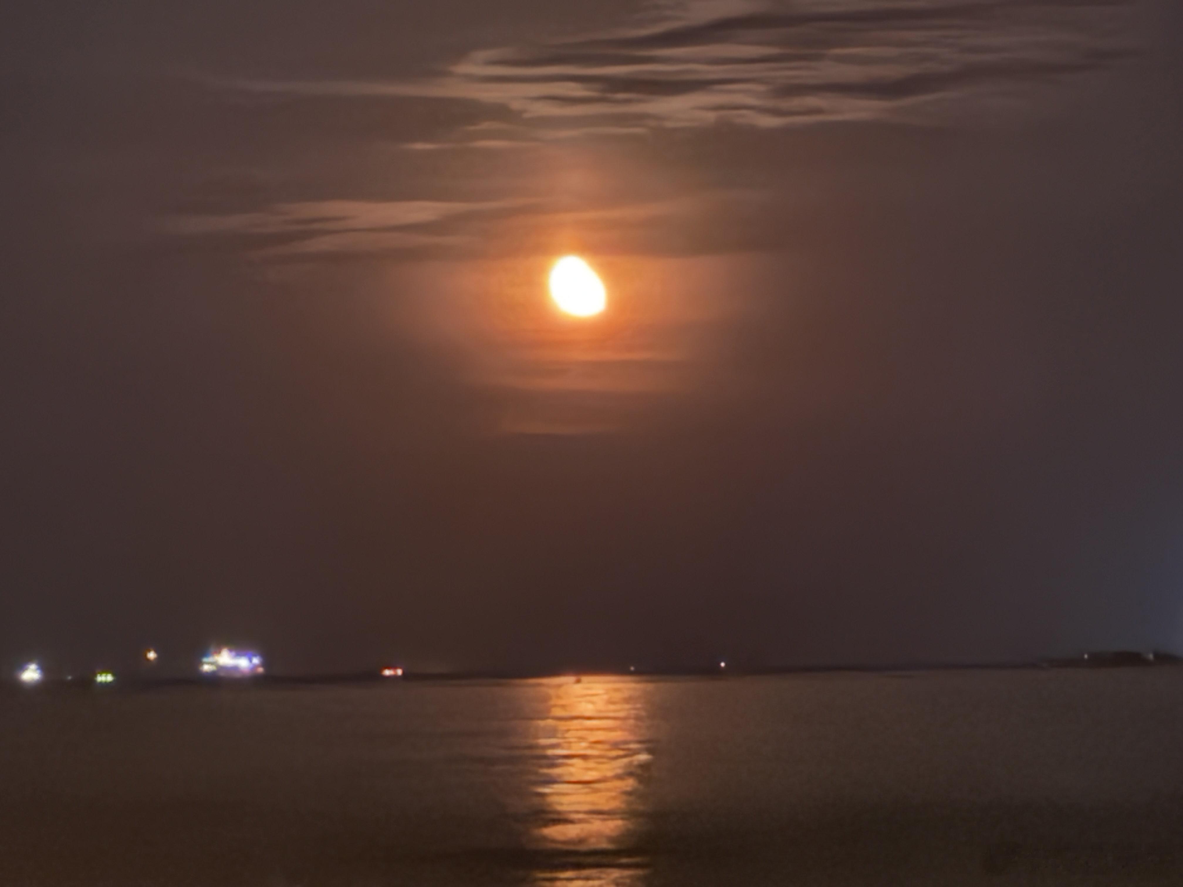 🌙 